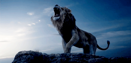  迪士尼年度真人CG巨制《狮子王》